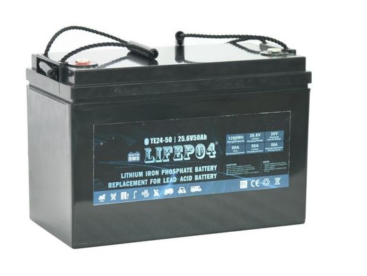 Batteria portatile Lifepo4 di BMS 24V 12AH per potere di sostegno