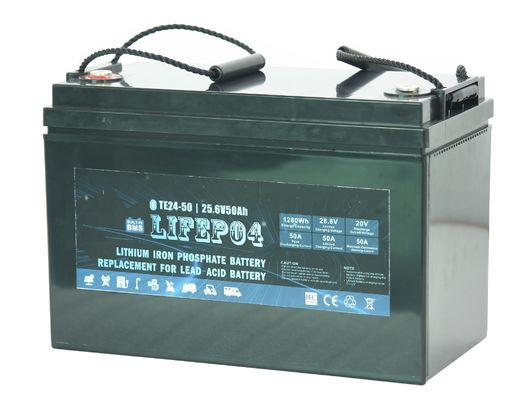 Litio portatile Ion Battery della batteria Lifepo4 di 24v 30ah Lifepo4