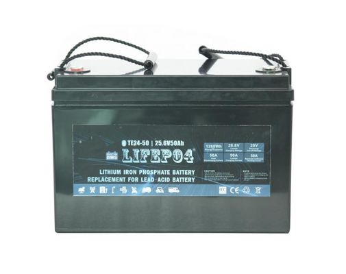litio portatile BMS For Replacement Of della batteria Lifepo4 di 24V 42AH acido al piombo