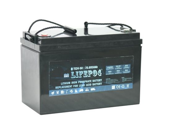 Pacchetto portatile della batteria al litio della batteria di 24v 50ah Lifepo4