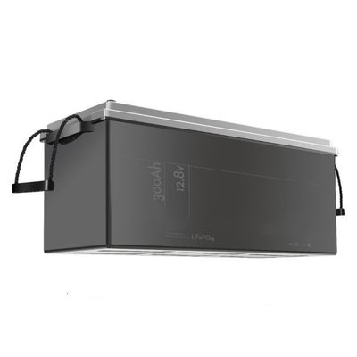 3000 litio Ion Power Pack Energy Storage della batteria 51.2v 100ah del ciclo Lifepo4 UPS